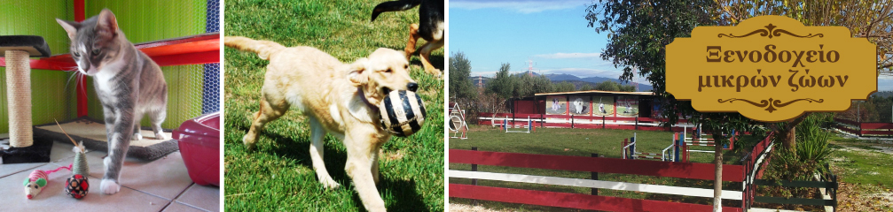 Ξενοδοχείο Μικρών Ζώων