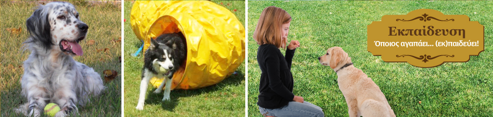 Εκπαίδευση